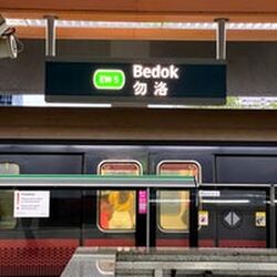 Blk 807C Ping Yi Greens (Bedok), HDB 5 Rooms #448094031
